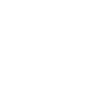 Security Icon